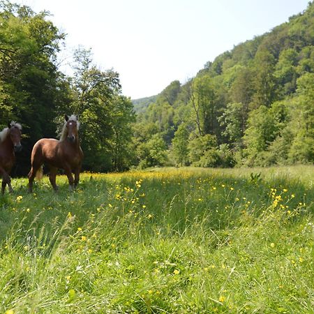 Moulin De La Cuse - Chambre L'Anse Cusance ภายนอก รูปภาพ