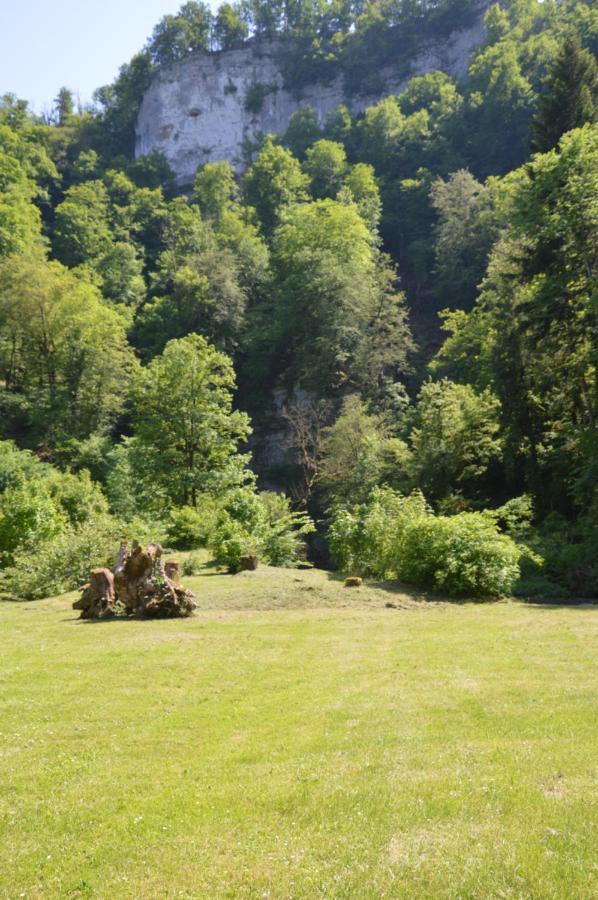 Moulin De La Cuse - Chambre L'Anse Cusance ภายนอก รูปภาพ